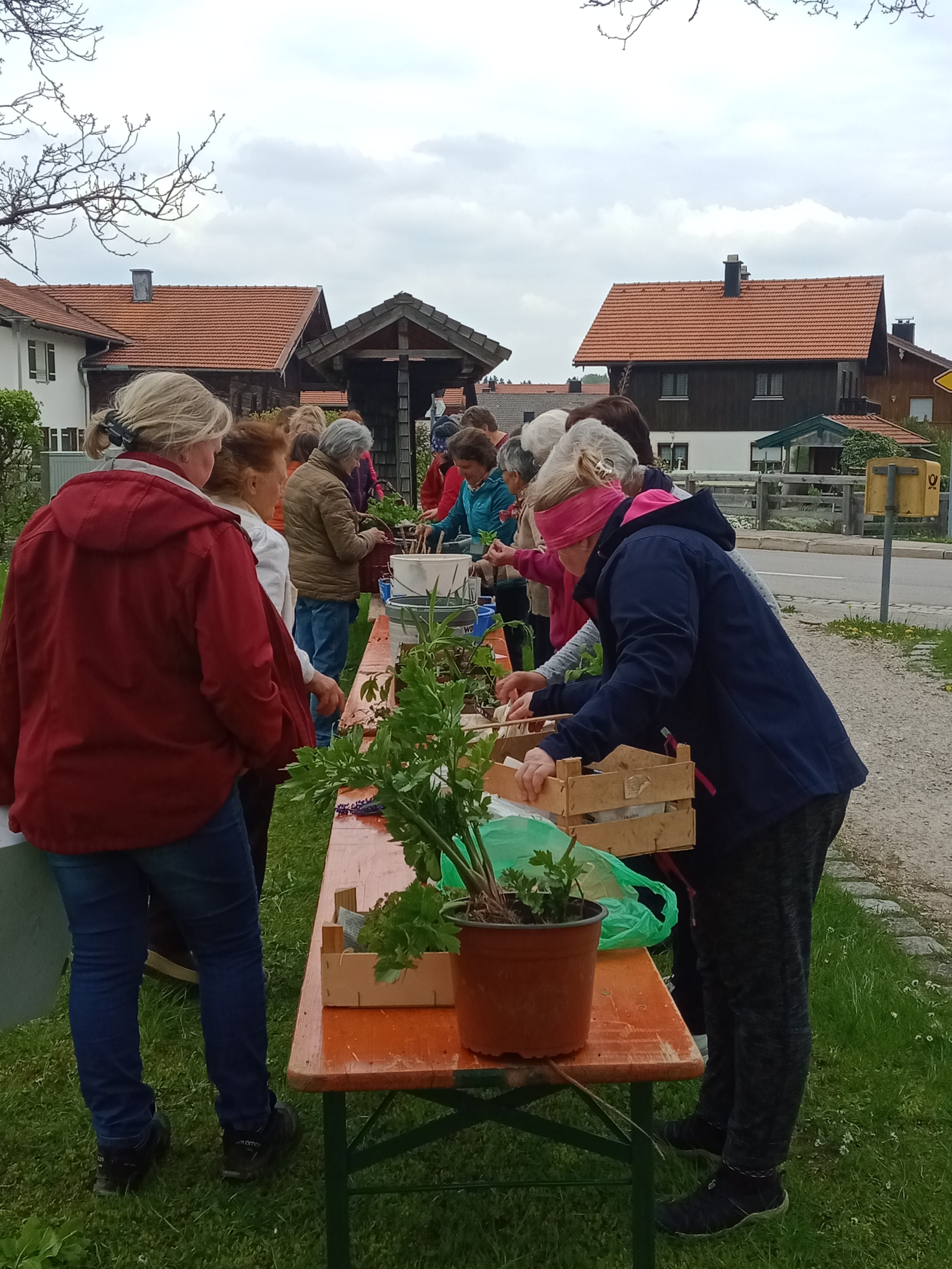 Pflänzchentauschmarkt